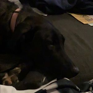 Meet your Posher, Mandy